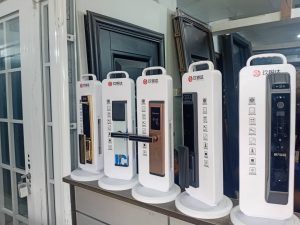 Biometric lucks with card